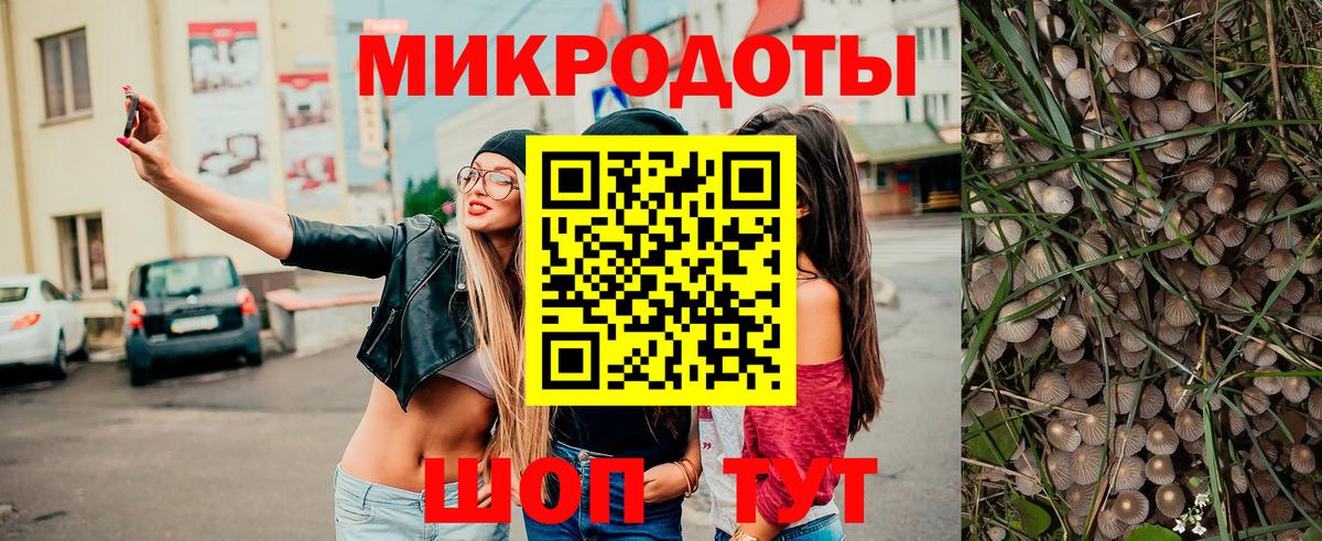 Псилоцибиновые грибы MAGIC MUSHROOMS Богданович