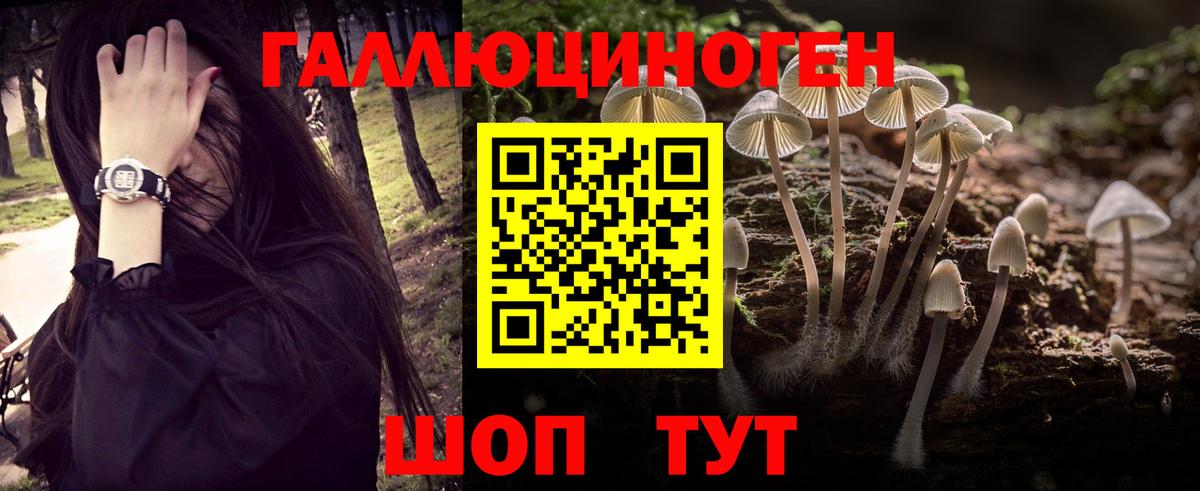 Богданович  Псилоцибиновые грибы Cubensis  закладки  Псилоцибиновые грибы мухоморы  Вход с VPN 